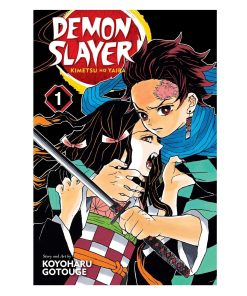 Demon Slayer: Kimetsu no Yaiba Vol-1-5 Books Collection set Paperback – January 1, 2019