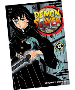 Demon Slayer: Kimetsu no Yaiba Vol (6-15) 10 Books Collection Set-geeekyme.com