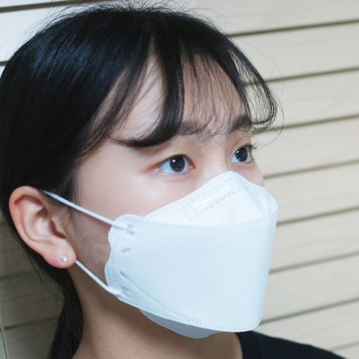 General Use Protective Korean Style Face Mask  10PCS/Pack For Adults.
